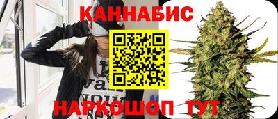шишки Гусиноозёрск